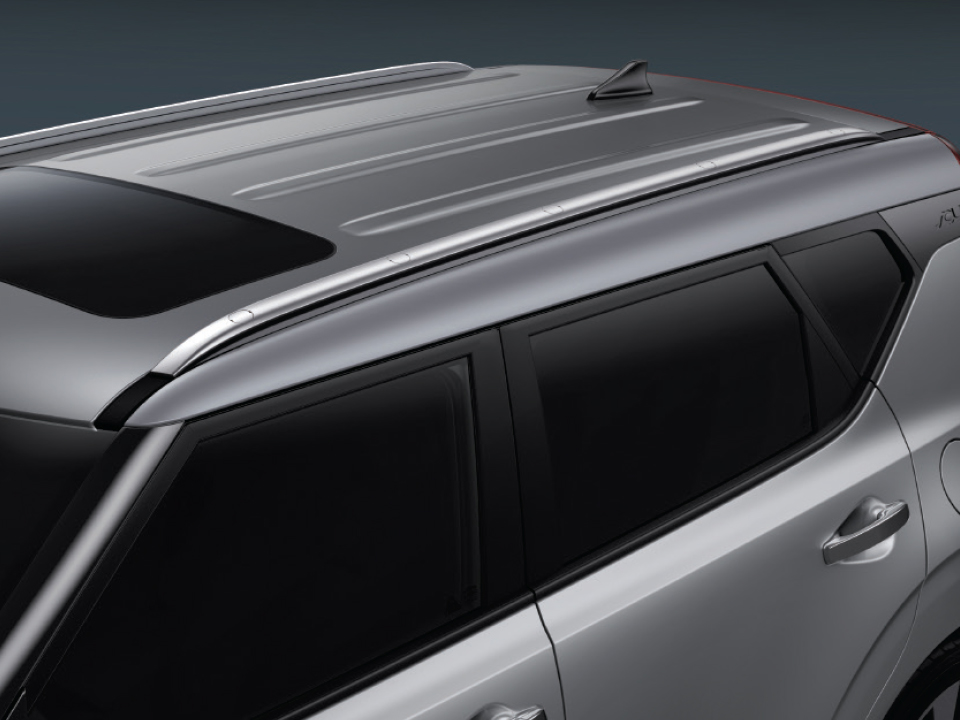 Projection fog lamps with DRL
