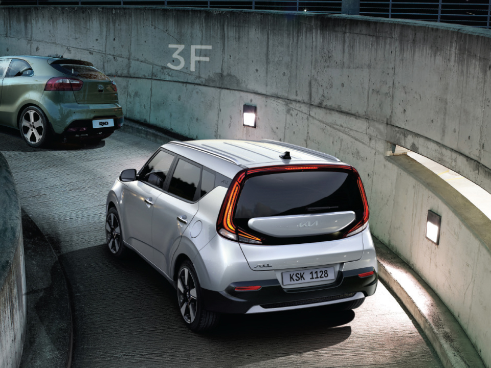 Projection fog lamps with DRL