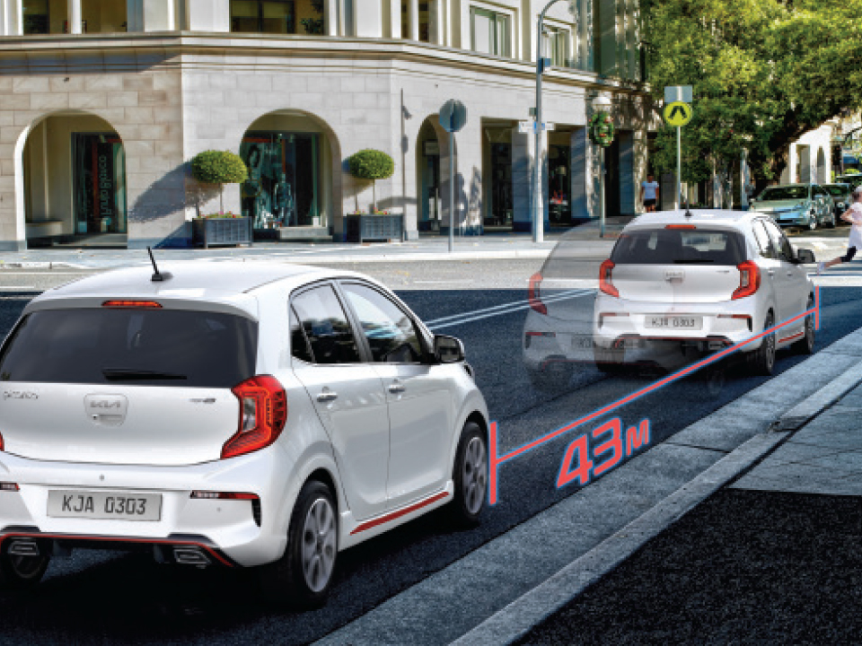 Projection fog lamps with DRL