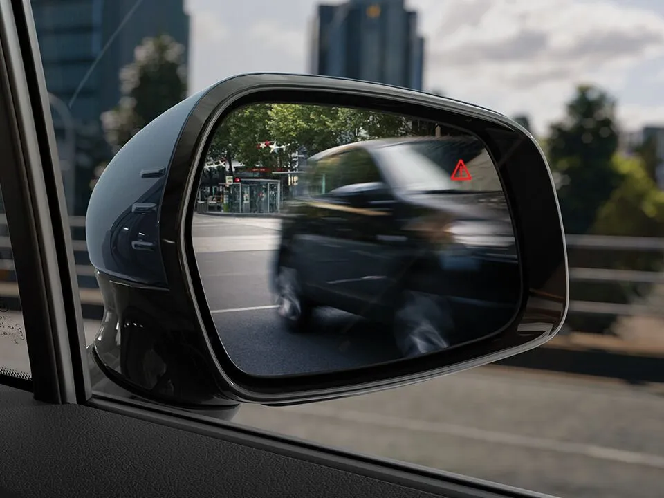 Blind-Spot View Monitor (BVM)