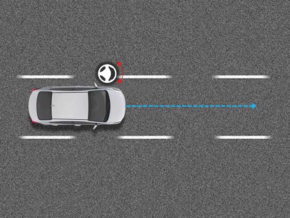 Lane Following System (LFA)